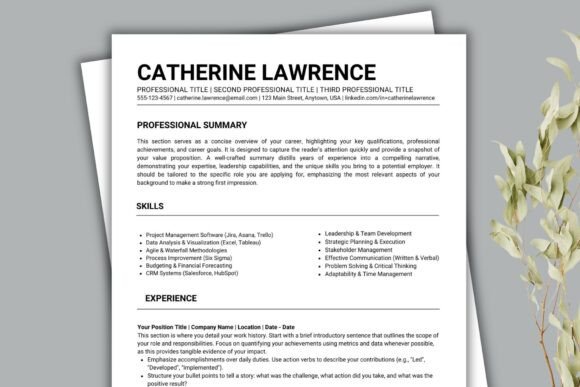 Download Professional Canva Resume Bundle - Premium Resources